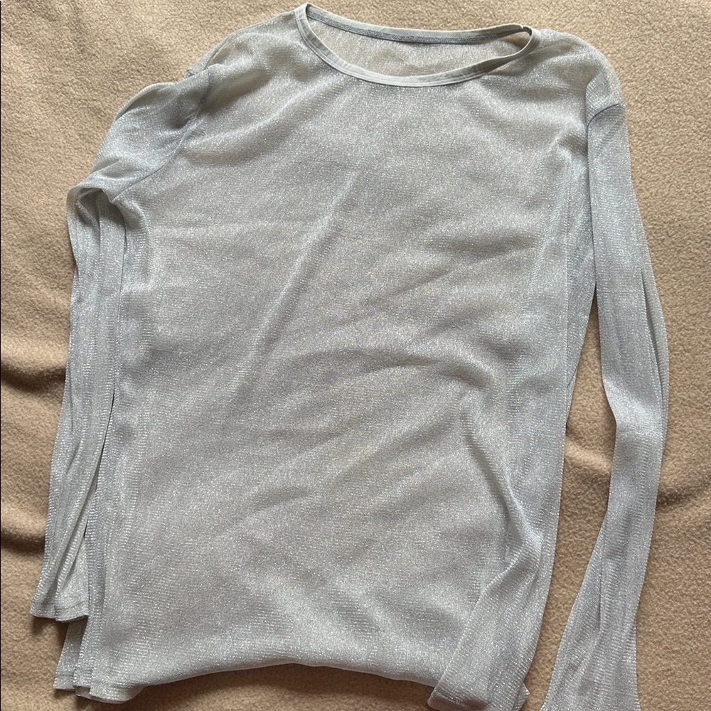 Sheer Shimmer Mesh Long Sleeve Top - Light Silver